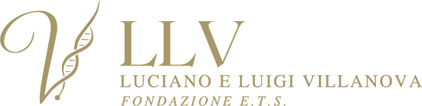 Fondazione Luciano e Luigi Villanova E.T.S.